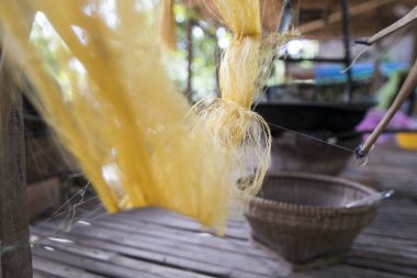 İpek Koza İpek imalatında Koh Dach yakınındaki şehir Phnom Penh, Kamboçya