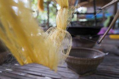 İpek Koza İpek imalatında Koh Dach yakınındaki şehir Phnom Penh, Kamboçya