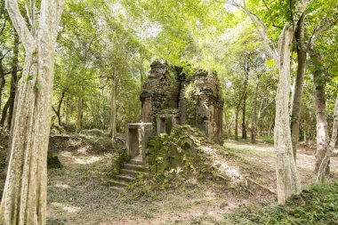 Sambor olduğunuzu Kuk kalıntıları Kamboçya Kampong Thom şehir kuzeyinde Khmer Harabeleri