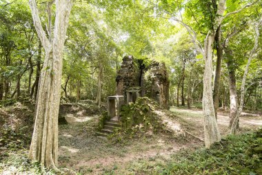 Sambor olduğunuzu Kuk kalıntıları Kamboçya Kampong Thom şehir kuzeyinde Khmer Harabeleri