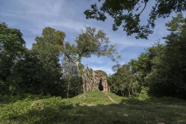 Sambor olduğunuzu Kuk kalıntıları Kamboçya Kampong Thom şehir kuzeyinde Khmer Harabeleri