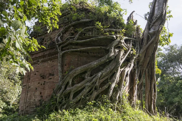 Sambor olduğunuzu Kuk kalıntıları Kamboçya Kampong Thom şehir kuzeyinde Khmer Harabeleri