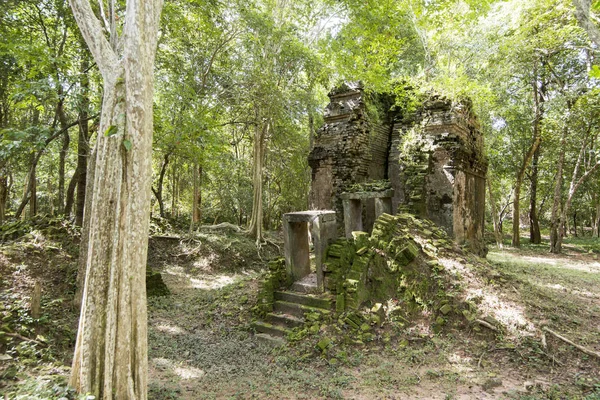 Sambor olduğunuzu Kuk kalıntıları Kamboçya Kampong Thom şehir kuzeyinde Khmer Harabeleri