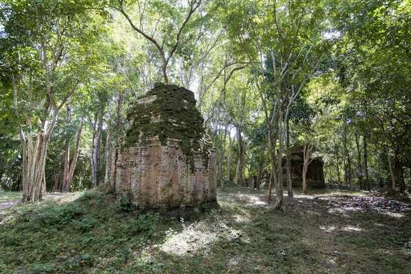 Sambor olduğunuzu Kuk kalıntıları Kamboçya Kampong Thom şehir kuzeyinde Khmer Harabeleri