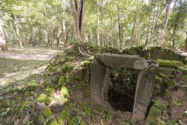 Sambor olduğunuzu Kuk kalıntıları Kamboçya Kampong Thom şehir kuzeyinde Khmer Harabeleri