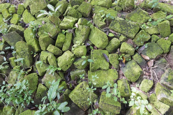 Khmer Ruïnes Van Sambor Prei Kuk Ruins Ten Noorden Van — Stockfoto