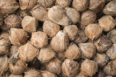 Piyasada Psar Kampong thom Kamboçya Kampong Thom şehir içinde meyve