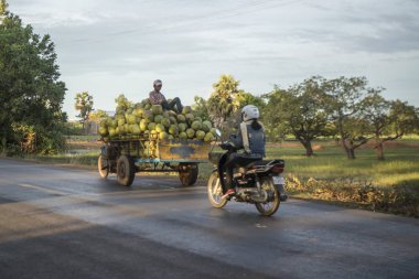 Kamboçya, Kampong Thom - Kasım, 2017: Sürücü: Kampong Thom, Cambodia şehir merkezine yakın bir yol, pirinç tarlaları ile motosiklet üzerinde