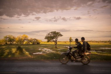 Kamboçya, Kampong Thom - Kasım, 2017: Sürücü: Kampong Thom, Cambodia şehir merkezine yakın bir yol, pirinç tarlaları ile motosiklet üzerinde