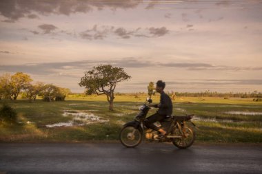 CAMBODIA, KAMPONG THOM - NOVEMBER, 2017: Driver on motorbike with rice fields at a road near the city centre of Kampong Thom of Cambodia clipart