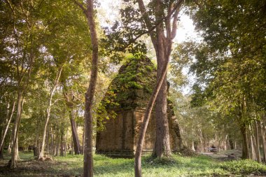 Sambor olduğunuzu Kuk kalıntıları Kamboçya Kampong Thom şehir kuzeyinde Khmer Harabeleri