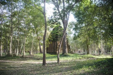 Sambor olduğunuzu Kuk kalıntıları Kamboçya Kampong Thom şehir kuzeyinde Khmer Harabeleri