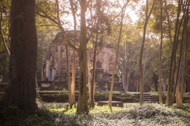 Sambor olduğunuzu Kuk kalıntıları Kamboçya Kampong Thom şehir kuzeyinde Khmer Harabeleri