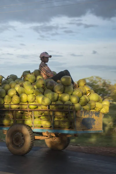 Kamboçya, Kampong Thom - Kasım, 2017: Sürücü: Kampong Thom, Cambodia şehir merkezine yakın bir yol, pirinç tarlaları ile motosiklet üzerinde