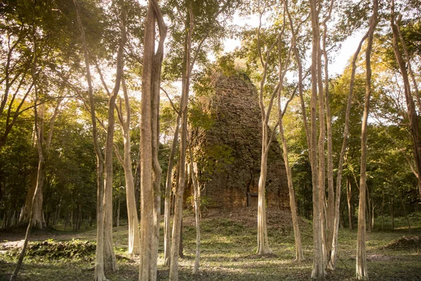 Sambor olduğunuzu Kuk kalıntıları Kamboçya Kampong Thom şehir kuzeyinde Khmer Harabeleri