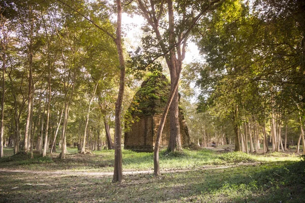 Sambor olduğunuzu Kuk kalıntıları Kamboçya Kampong Thom şehir kuzeyinde Khmer Harabeleri