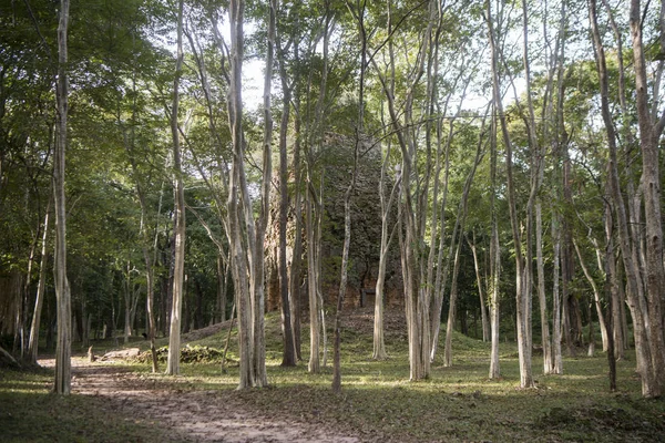 Sambor olduğunuzu Kuk kalıntıları Kamboçya Kampong Thom şehir kuzeyinde Khmer Harabeleri