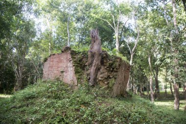 Sambor olduğunuzu Kuk kalıntıları Kamboçya Kampong Thom şehir kuzeyinde Khmer Harabeleri