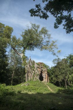 Sambor olduğunuzu Kuk kalıntıları Kamboçya Kampong Thom şehir kuzeyinde Khmer Harabeleri