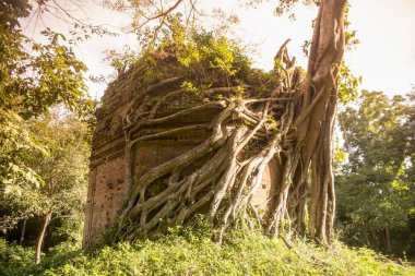Sambor olduğunuzu Kuk kalıntıları Kamboçya Kampong Thom şehir kuzeyinde Khmer Harabeleri