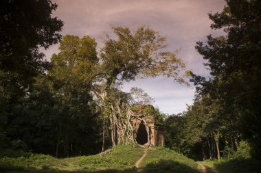 Sambor olduğunuzu Kuk kalıntıları Kamboçya Kampong Thom şehir kuzeyinde Khmer Harabeleri