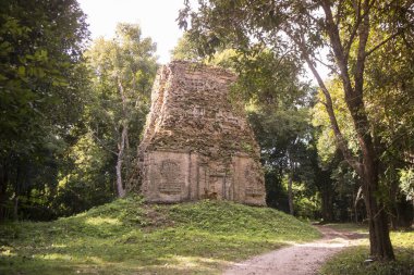 Sambor olduğunuzu Kuk kalıntıları Kamboçya Kampong Thom şehir kuzeyinde Khmer Harabeleri