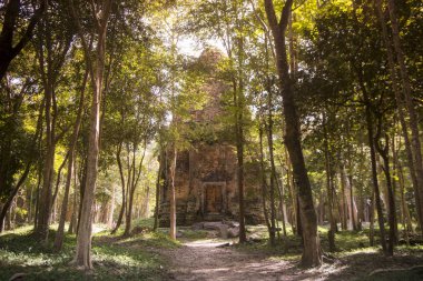 Sambor olduğunuzu Kuk kalıntıları Kamboçya Kampong Thom şehir kuzeyinde Khmer Harabeleri