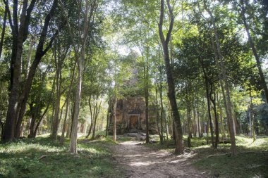 Sambor olduğunuzu Kuk kalıntıları Kamboçya Kampong Thom şehir kuzeyinde Khmer Harabeleri