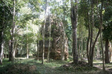 Sambor olduğunuzu Kuk kalıntıları Kamboçya Kampong Thom şehir kuzeyinde Khmer Harabeleri
