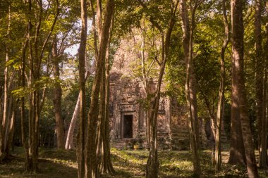 Sambor olduğunuzu Kuk kalıntıları Kamboçya Kampong Thom şehir kuzeyinde Khmer Harabeleri