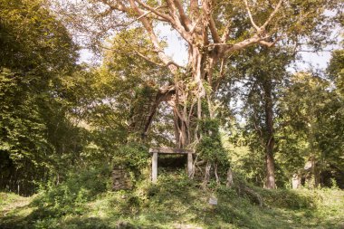 Sambor olduğunuzu Kuk kalıntıları Kamboçya Kampong Thom şehir kuzeyinde Khmer Harabeleri