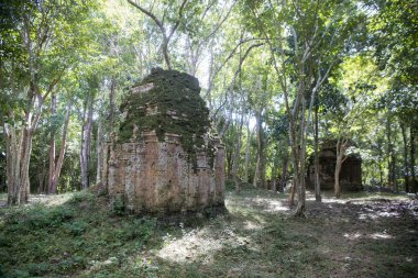 Sambor olduğunuzu Kuk kalıntıları Kamboçya Kampong Thom şehir kuzeyinde Khmer Harabeleri