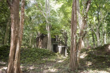 Sambor olduğunuzu Kuk kalıntıları Kamboçya Kampong Thom şehir kuzeyinde Khmer Harabeleri