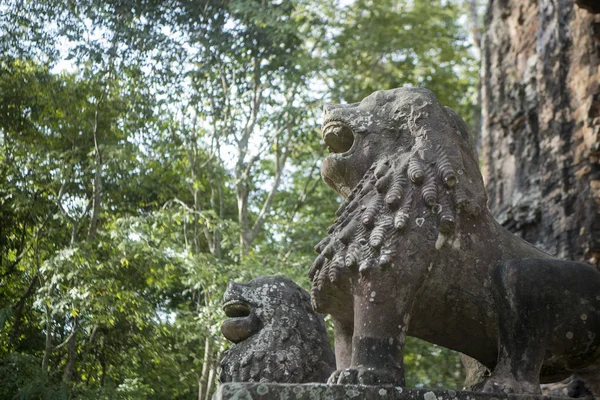 Sambor olduğunuzu Kuk kalıntıları Kamboçya Kampong Thom şehir kuzeyinde Khmer Harabeleri