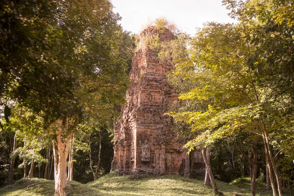 Sambor olduğunuzu Kuk kalıntıları Kamboçya Kampong Thom şehir kuzeyinde Khmer Harabeleri