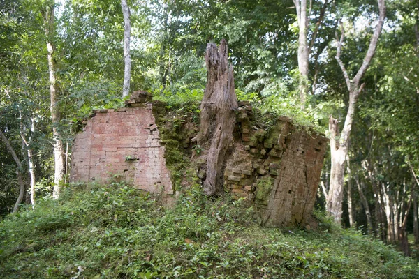 Sambor olduğunuzu Kuk kalıntıları Kamboçya Kampong Thom şehir kuzeyinde Khmer Harabeleri