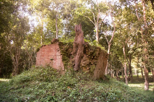 Sambor olduğunuzu Kuk kalıntıları Kamboçya Kampong Thom şehir kuzeyinde Khmer Harabeleri