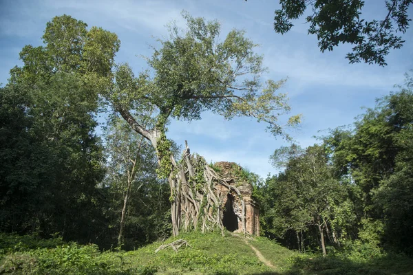 Sambor olduğunuzu Kuk kalıntıları Kamboçya Kampong Thom şehir kuzeyinde Khmer Harabeleri