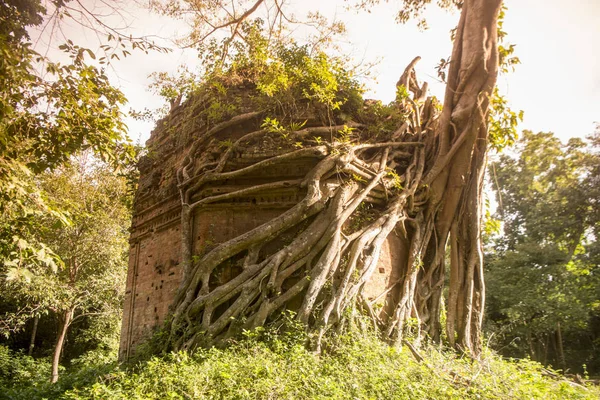 Ruinas Khmer Las Ruinas Sambor Prei Kuk Norte Ciudad Kampong — Foto de Stock