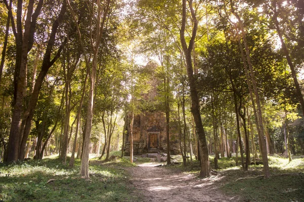 Sambor olduğunuzu Kuk kalıntıları Kamboçya Kampong Thom şehir kuzeyinde Khmer Harabeleri