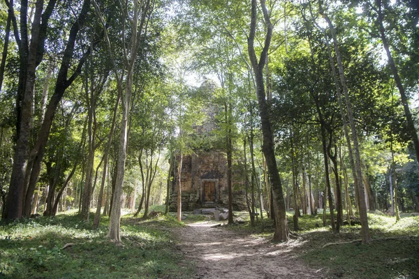 Sambor olduğunuzu Kuk kalıntıları Kamboçya Kampong Thom şehir kuzeyinde Khmer Harabeleri