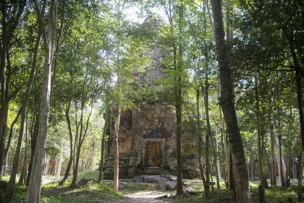 Sambor olduğunuzu Kuk kalıntıları Kamboçya Kampong Thom şehir kuzeyinde Khmer Harabeleri