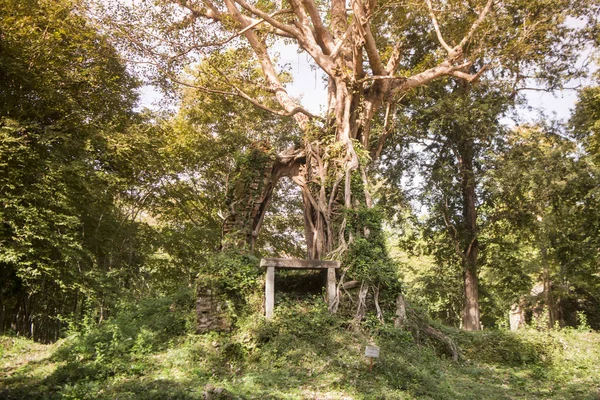 Sambor olduğunuzu Kuk kalıntıları Kamboçya Kampong Thom şehir kuzeyinde Khmer Harabeleri