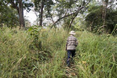 Kamboçya, Sra Em - 12 Kasım 2017: orman için Khmer tapınağı, Prasat Neak Buos yolundaki