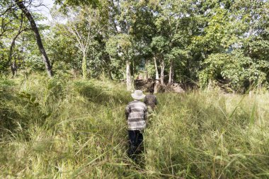 Kamboçya, Sra Em - 12 Kasım 2017: orman için Khmer tapınağı, Prasat Neak Buos yolundaki