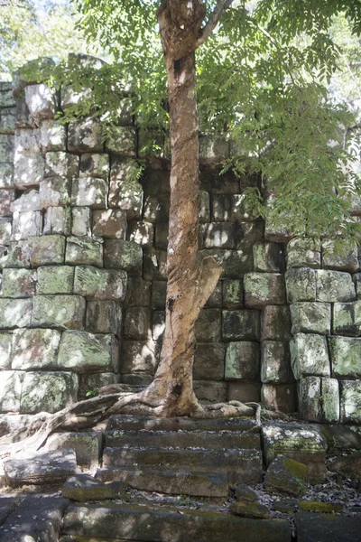 Khmerské Chrámy Koh Ker Východně Města Srayong Západně Města Preah — Stock fotografie