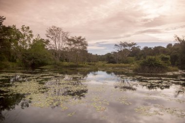 Kamboçya, Anlong Veng - Kasım, 2017: The Ta Mok Lake, kasaba, Anlong Veng Northwaest Kamboçya Oddar Meanchey il.  