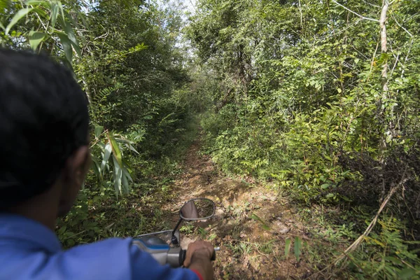 Kamboçya, Anlong Veng - Kasım, 2017: Choam town yakınındaki ve kuzeyinde kasaba, Anlong Veng Northwaest Kamboçya Oddar Meanchey il Dangrek dağ dizi ormanda Pol Pot hanesi.  