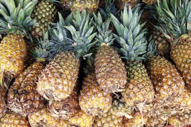 Meksika, Isla Mujeres - Ocak, 2009: Isla Mujeres köyü yakınındaki şehir Cancun Yucatan içinde il Quintana Roo Meksika Orta Amerika'da üzerinde bir pazarda, ananas.  
