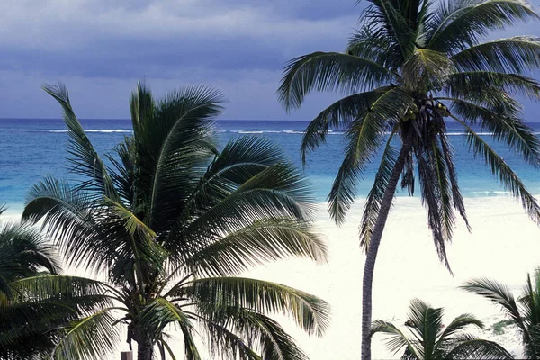 México Cancún Enero 2009 Una Playa Cerca Cancún Yucatán Provincia — Foto de Stock